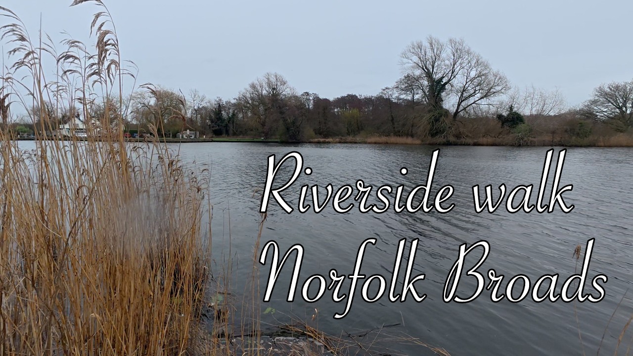 A Quiet Riverside Walk in the Norfolk Broads | Nature & Wildlife