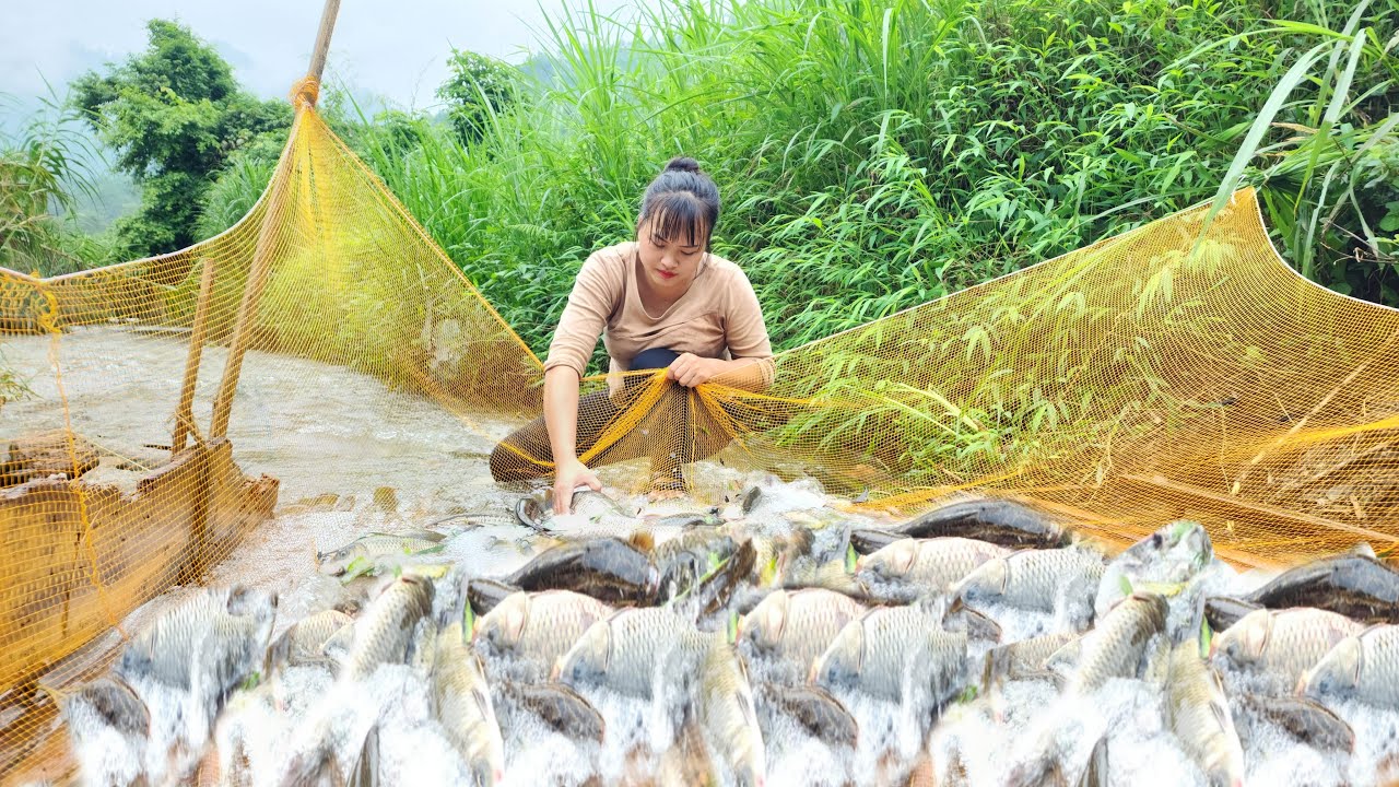 FULL VIDEO: How the girl made traps to catch fish, attracting large schools of fish