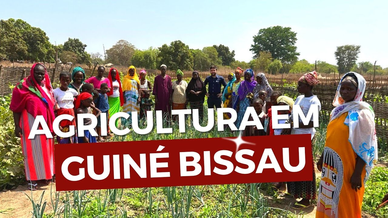 COMO É A AGRICULTURA EM GUINÉ BISSAU NA ÁFRICA