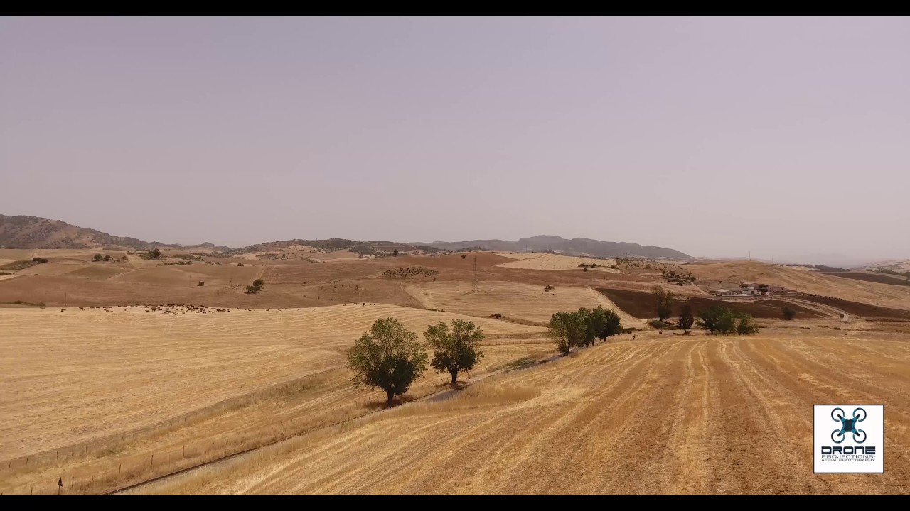 DP EP.E7 - Unknow Sicily