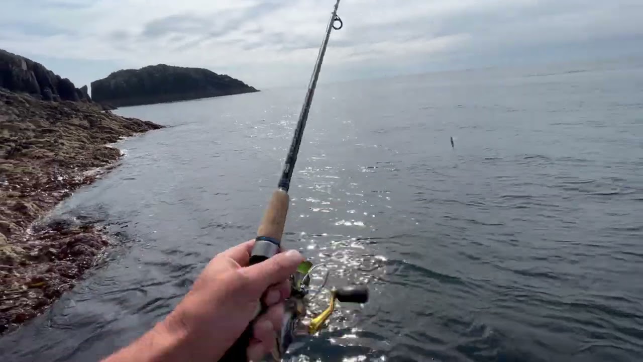 North wales Holyhead tope fishing