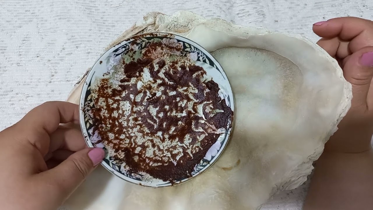 القراءة بالفنجان ☕️لبرج القوس بتاريخ ٢٠٢٤/٦/٢٥ خلى بالك كلام مهم جدا