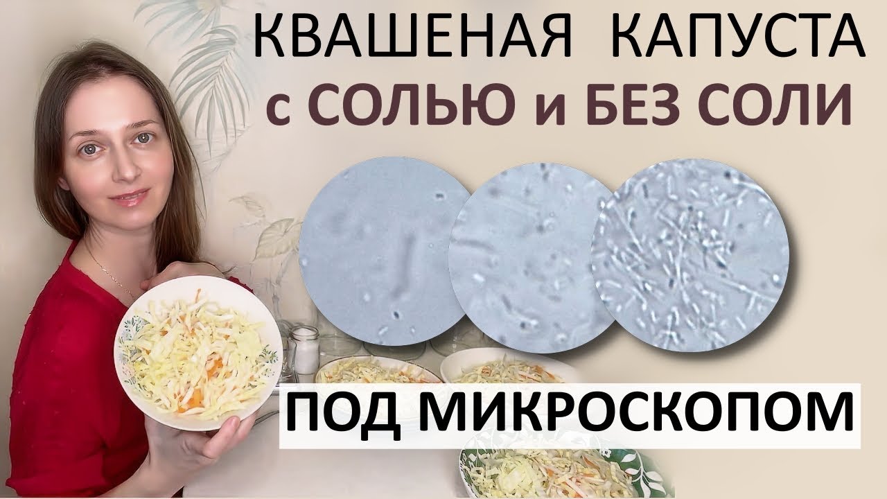 Микрофлора квашеной капусты. Микроорганизмы любят соль ? Добавлять ли закваску ?
