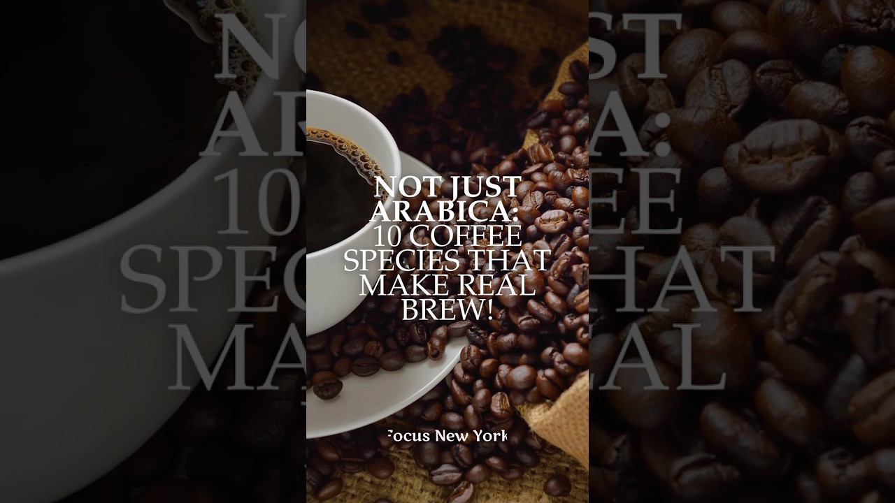 10 Coffee Plants You Didn&rsquo;t Know Existed ☕🌱 #shorts #coffeeplant #arabicacoffee  #plants