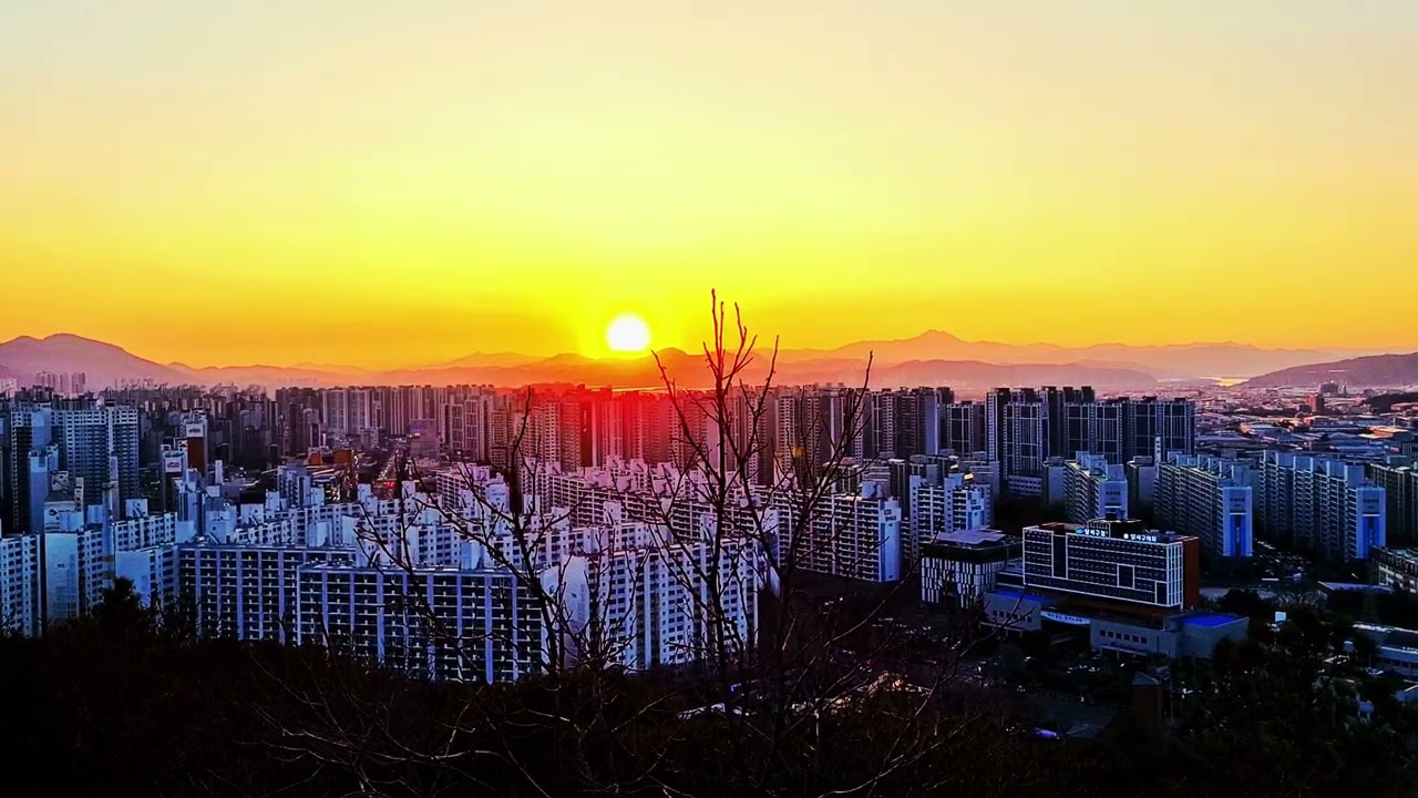 Gaya mandae Sunset 