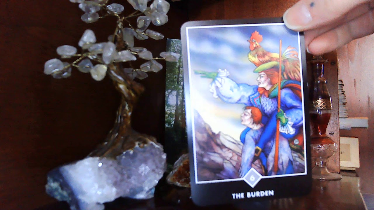 Earth Signs | Time Stamped* Feb 2020