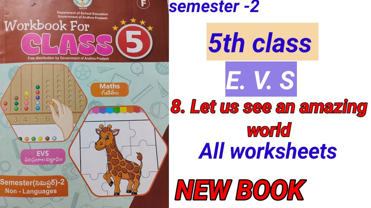 5-й класс/E.V.S/8. Давайте посмотрим на удивительный мир / рабочая тетрадь