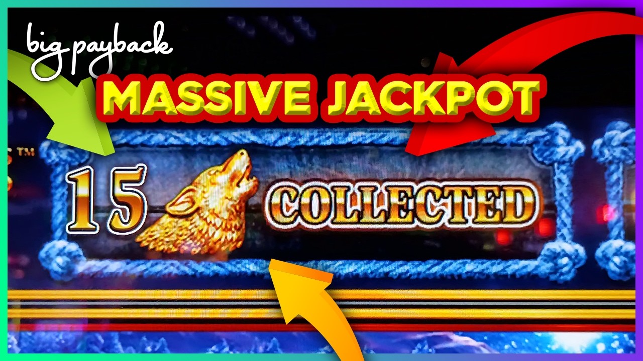 2000X MASSIVE JACKPOT! 15 Gold Heads!! Timber Wolf Gold Slots!