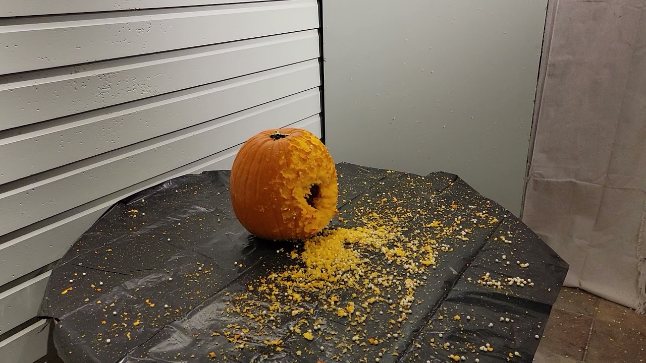East Coast Airsoft Arena Pumpkin Shootout - Raw Footage