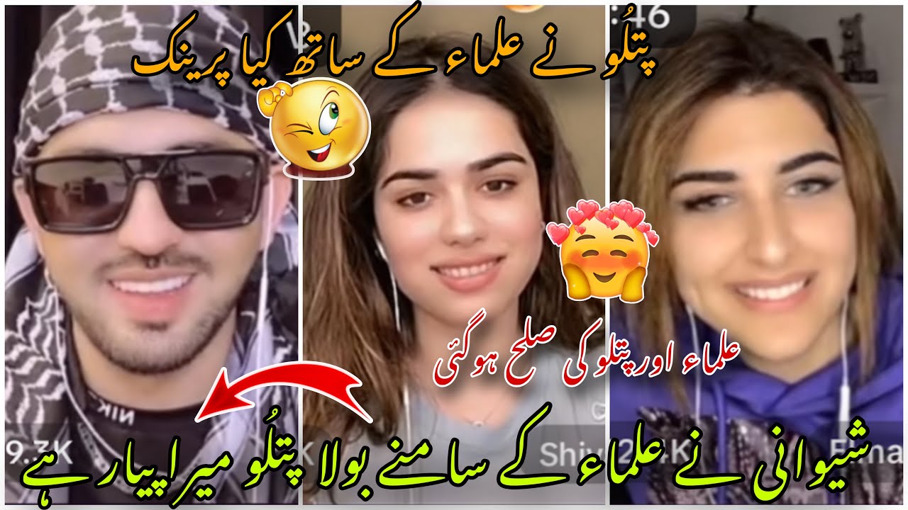 Mr patlo love with Elma on TikTok live with Shivany last night 😂😍
