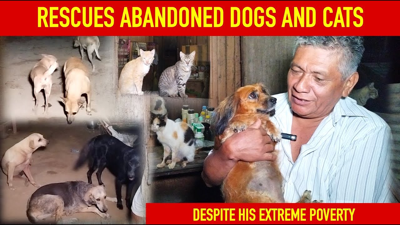 RESCUES ABANDONED DOGS AND CATS DESPITE HIS EXTREME POVERTY