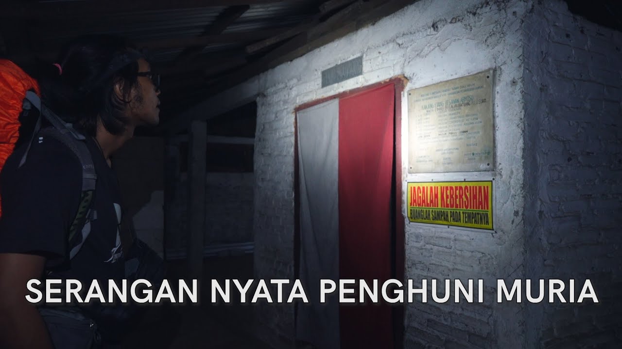 Serangan Nyata Penghuni Muria (Langit Kelabu #5)