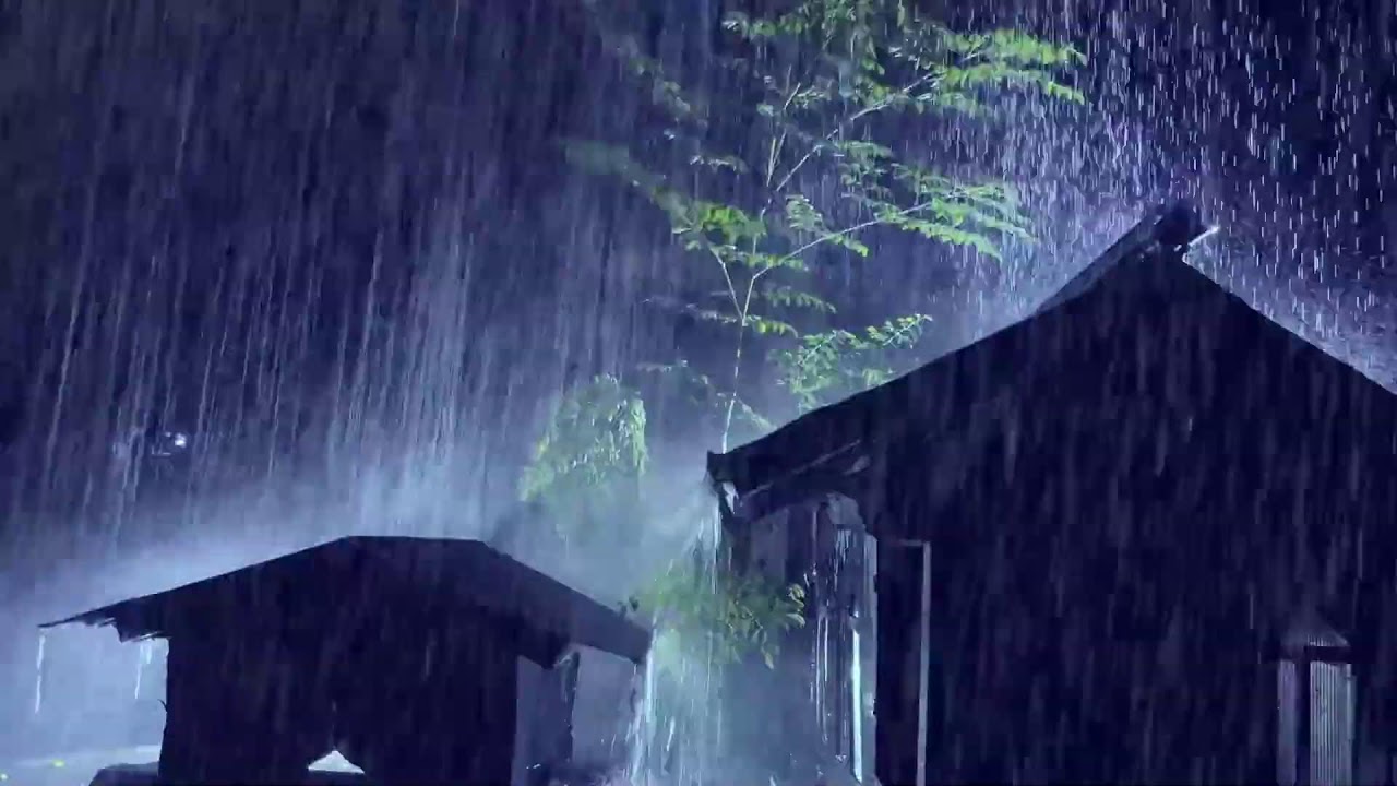 Torrential Rain and Thunder Sounds for Anxiety & Deep Sleep
