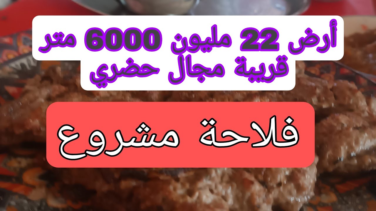 22 مليون أرض للبيع 6000 متر  قريبة محال حضري  فلاحة و مشروع  صالحة غرس سكن. نواحي المنزل 0679444657