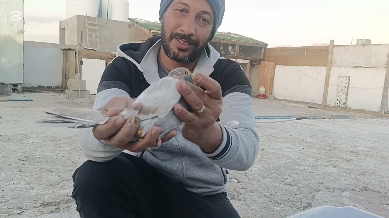 حططنا حبتين وصدنا المراسلي وفز البوز