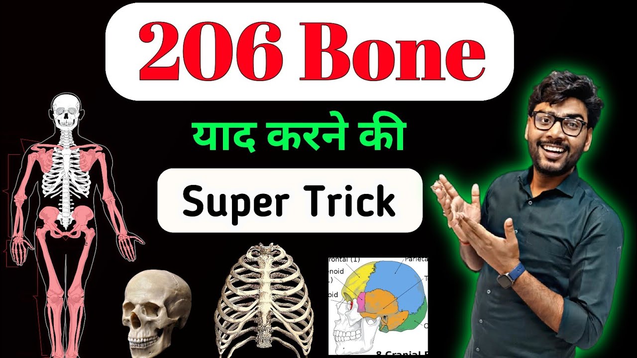 All 206 Bones In Body | Skull bones | 14 Facial Bone | Head Bones #neet #bones
