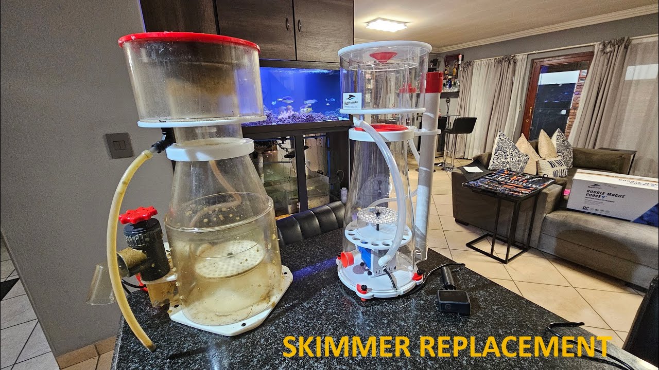 Reef Octopus Skimmer заменен на Bubble Magus Curve 9+
