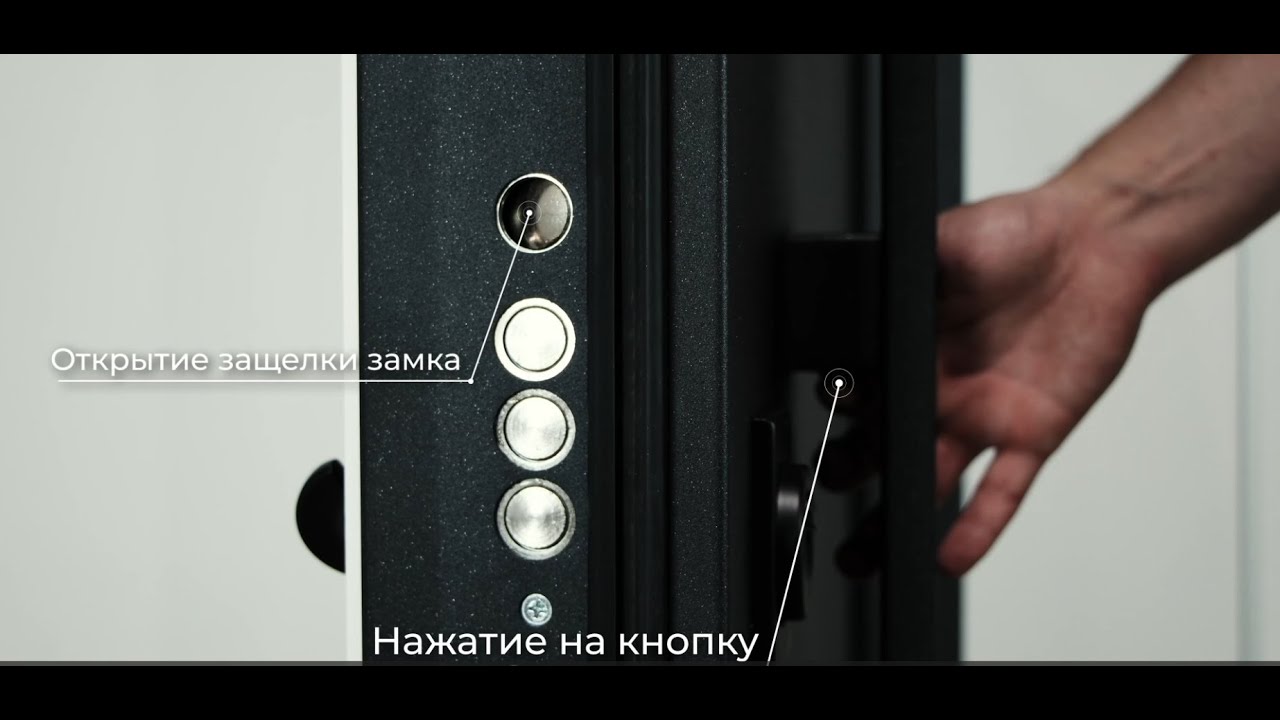 Центурион дверь LUX-11 Черный муар - Ясень скандинавский 2024 год