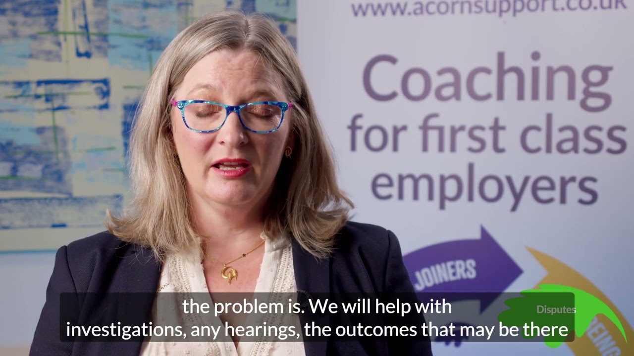 Employment Disputes (with subtitles)