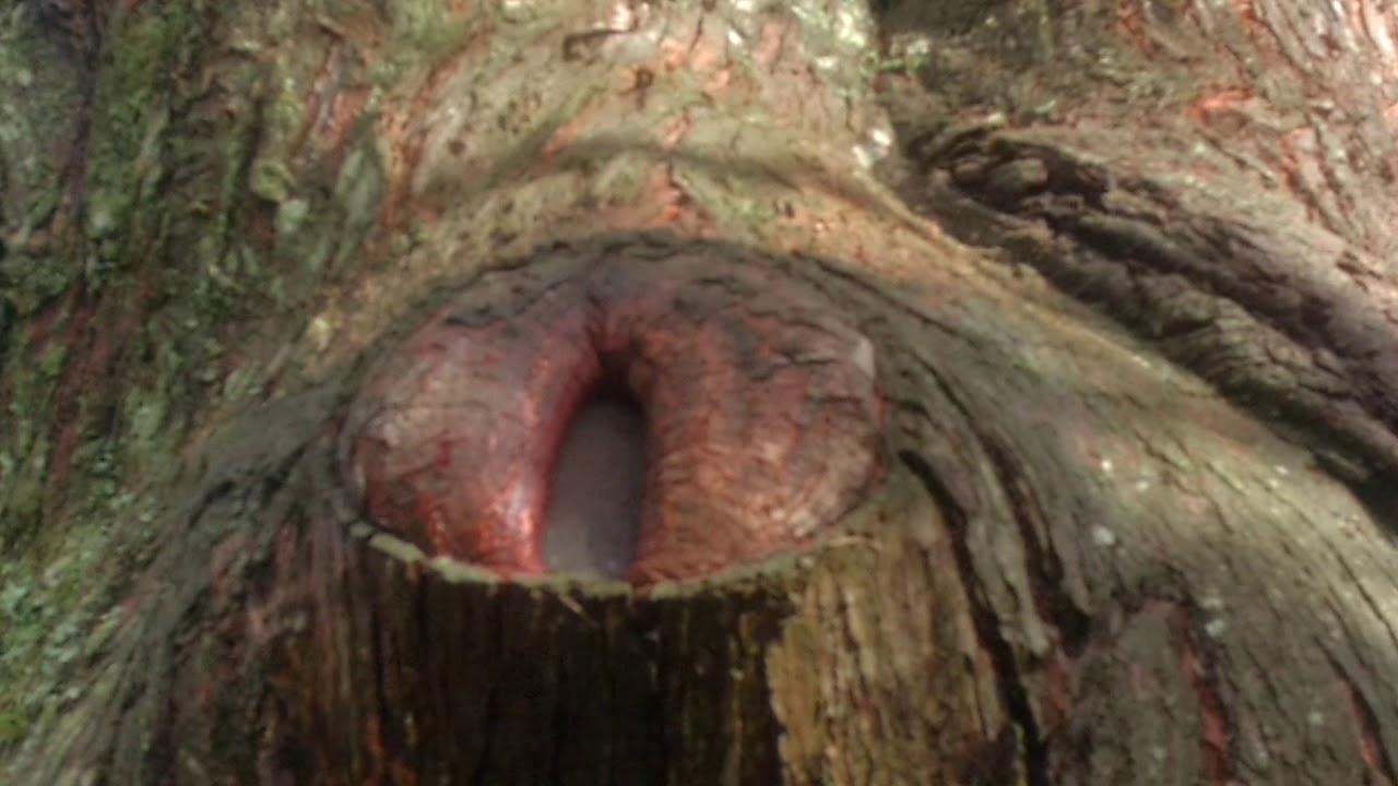 Work of Bigfoot art @:42 ,,, great update for comprehending soul's or really smart people.