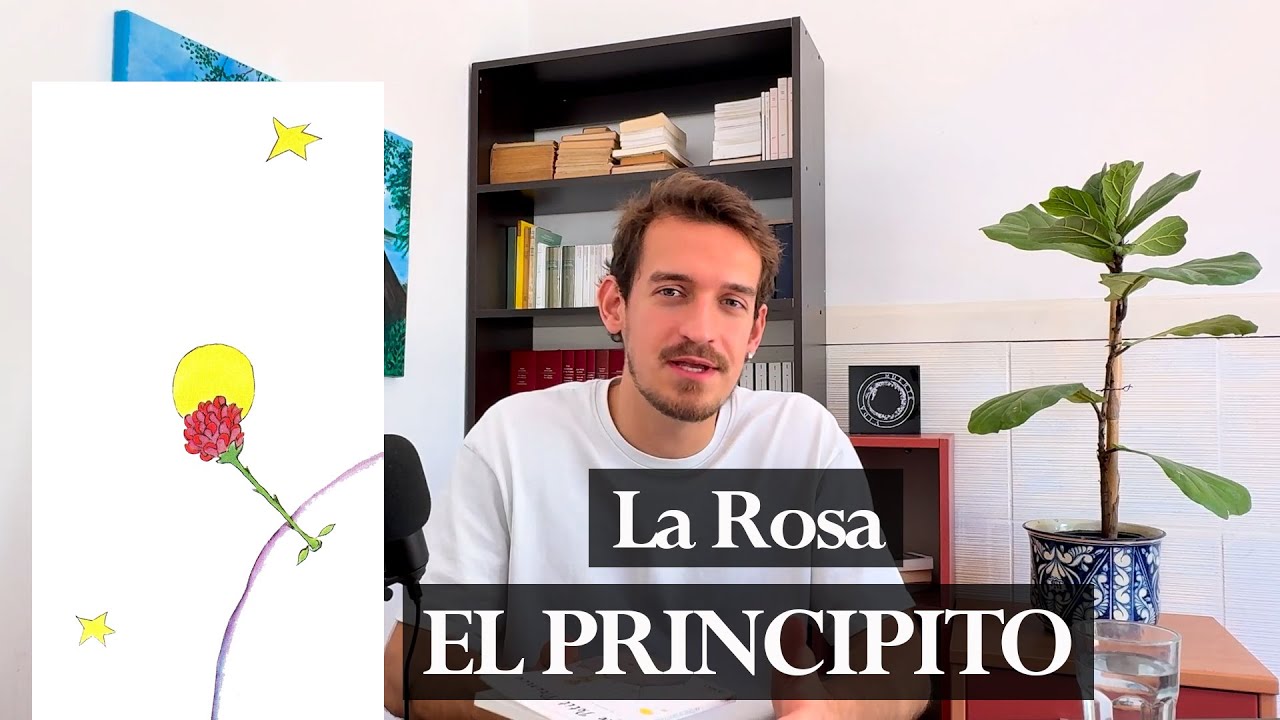 La rosa | El Principito, Saint-Exupéry