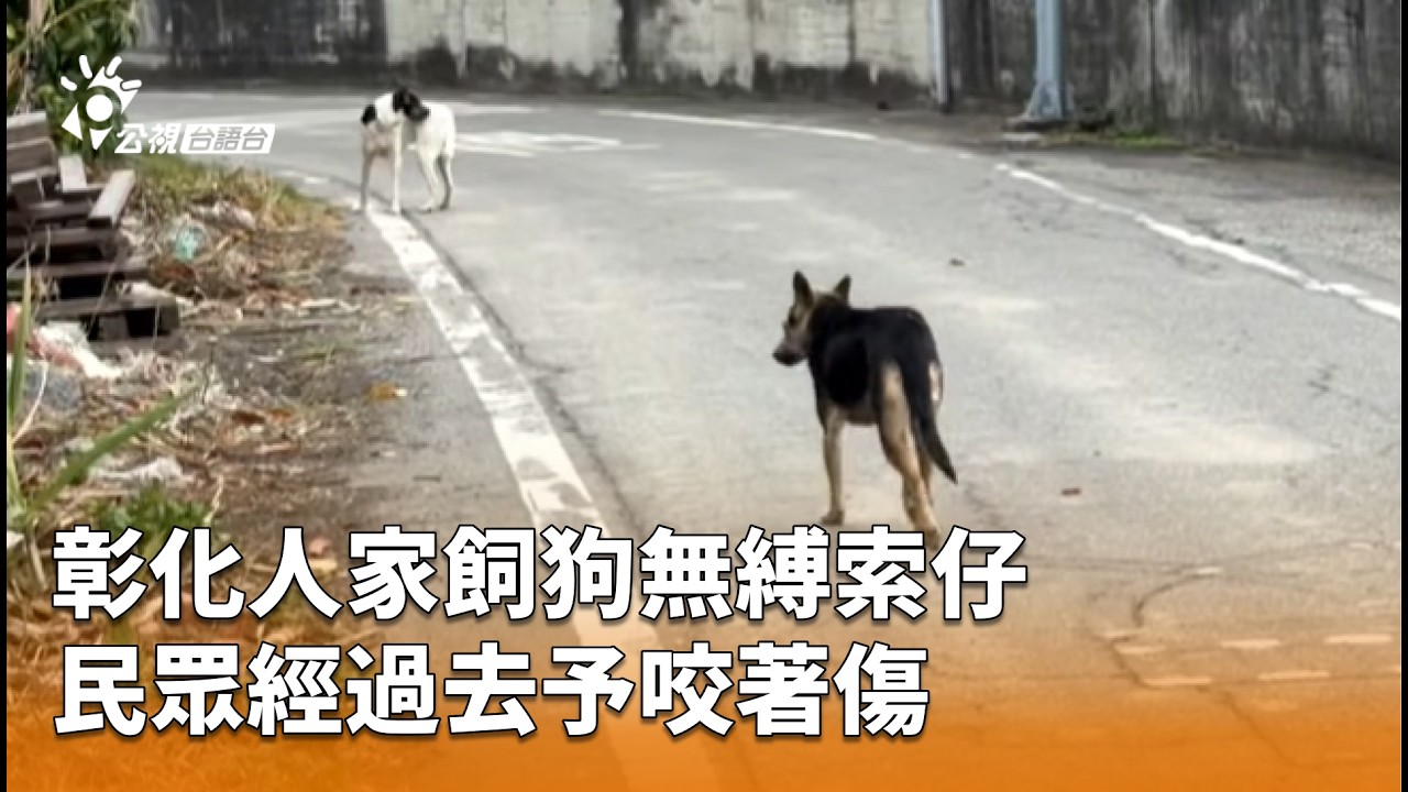 彰化人家飼狗無縛索仔 民眾經過去予咬著傷 | 公視台語台 | 20260304