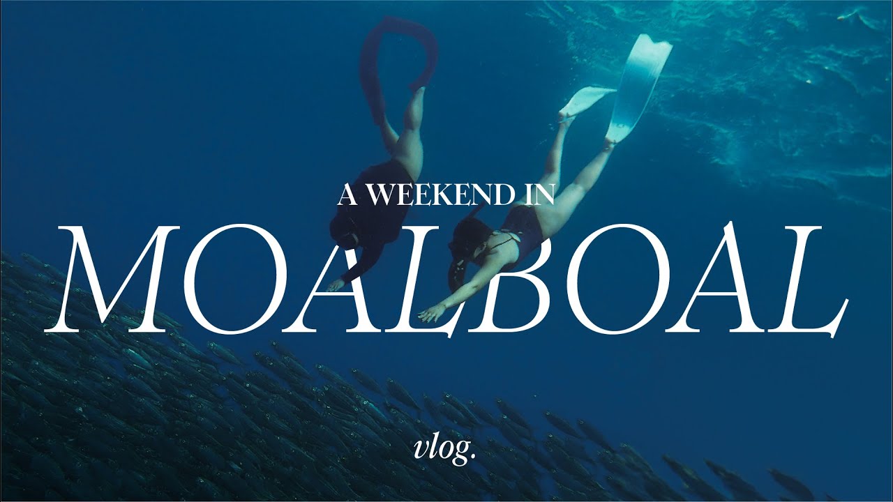 a weekend in moalboal, cebu 🇵🇭 - diving with sardines, cafes, and restaurants