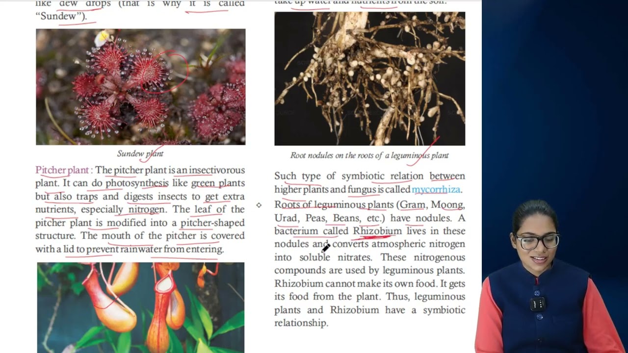 Science 7 ch 1
