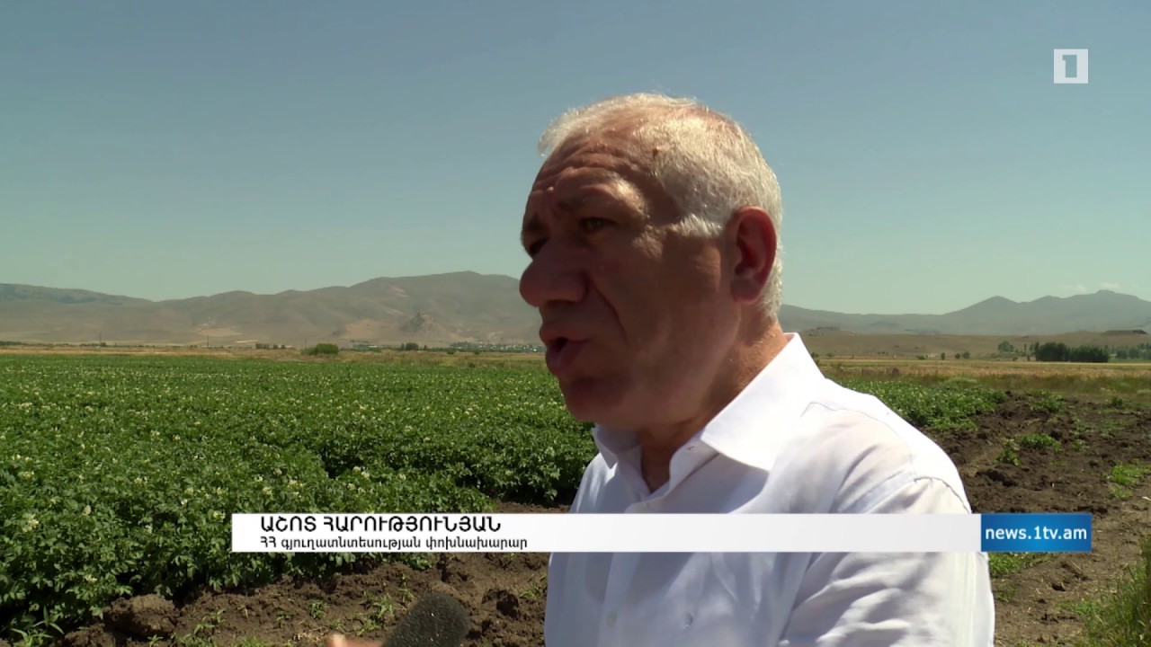 Շիրակի հողագործները առատ բերք են խոստանում