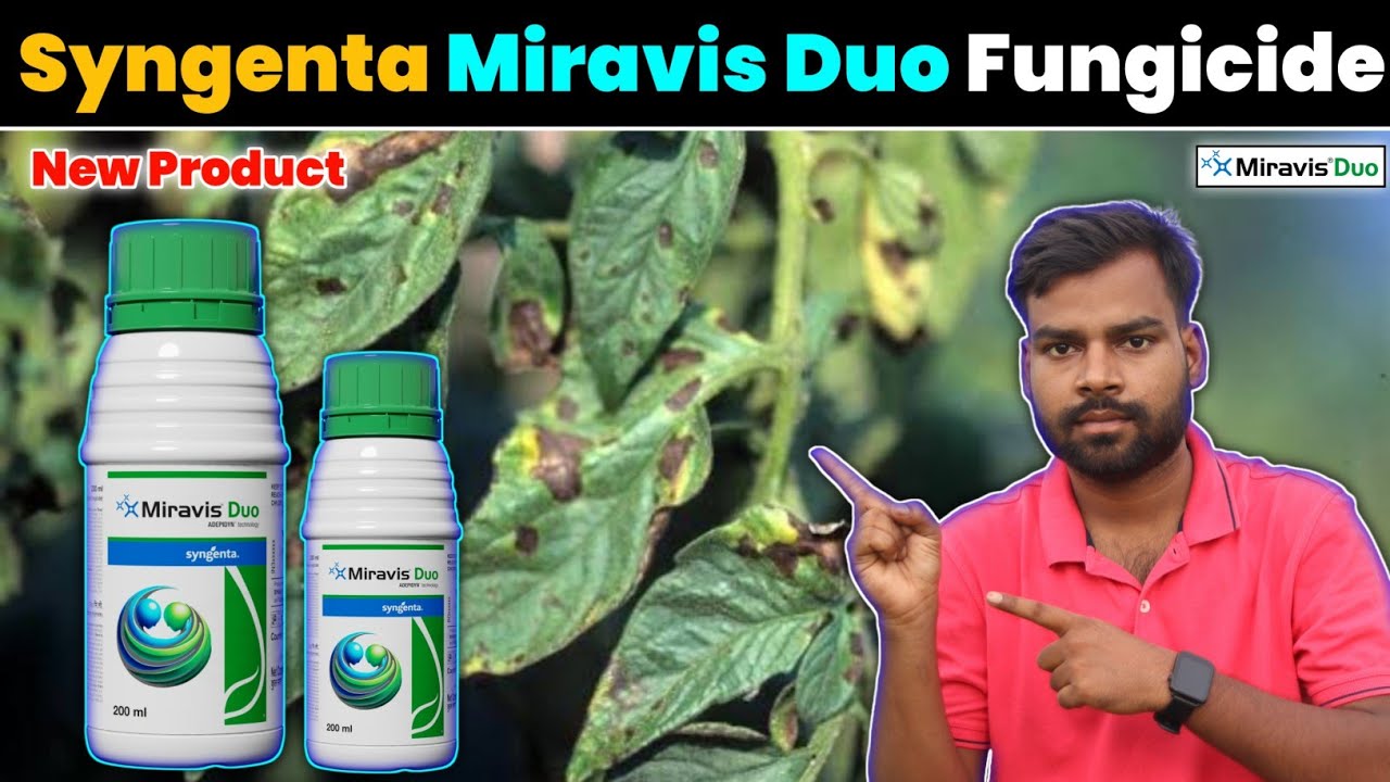 Miravis Duo Syngenta New Product | अब मचेगा धमाल Miravis Duo Fungicide 😱