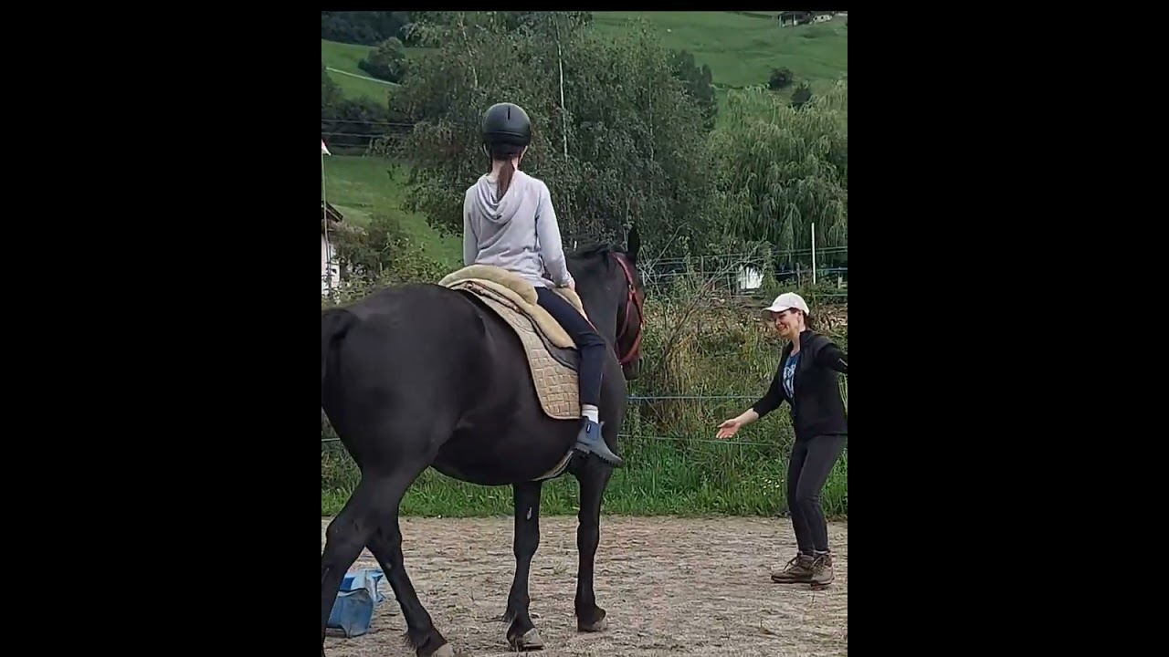 #freiheitsdressur #liberty #pferd #pferdeliebe #pferdetraining #ponyliebe