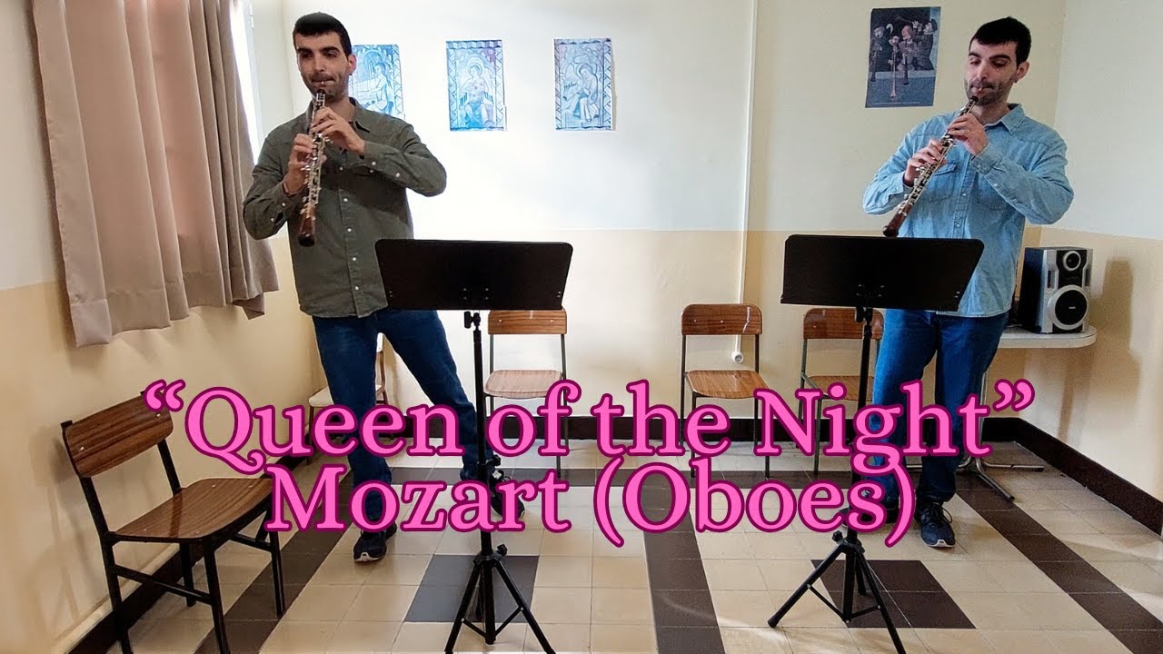 🎶 The Magic Flute – Aria 