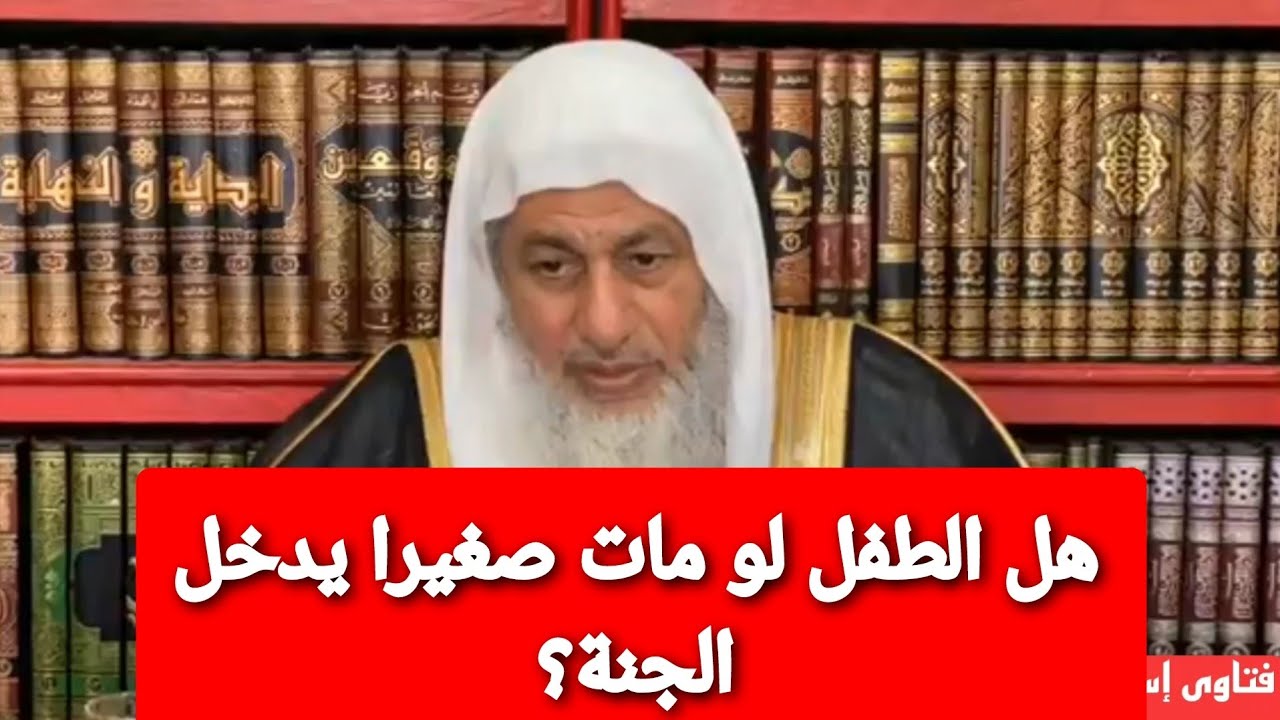 هل الطفل لو مات صغيرا يدخل الجنة؟ الشيخ مصطفى العدوي