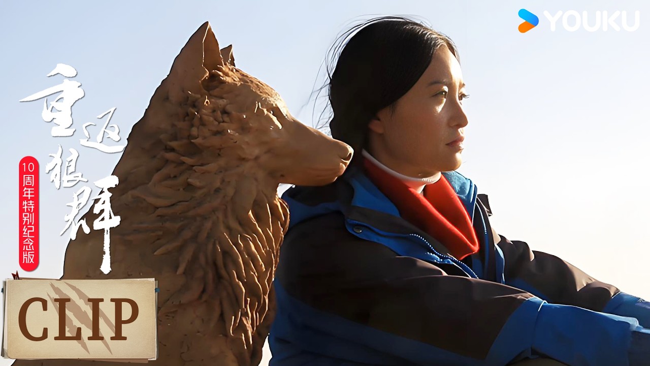 多年的保护与努力，全国首个狼生态保护监测站落户若尔盖 | 重返狼群 10周年特别纪念版 | 优酷纪实人文 YOUKU DOCUMENTARY