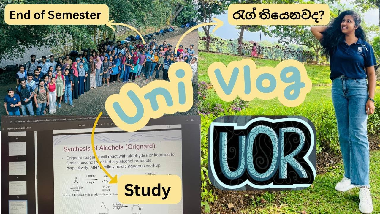 Days in Campus Life💕👩🏻‍🎓හිතන තරම් ලේසි නෑ හැබැයි විනෝදයි part 2🕊️☘️#ruhuna #study #sinhalavlo