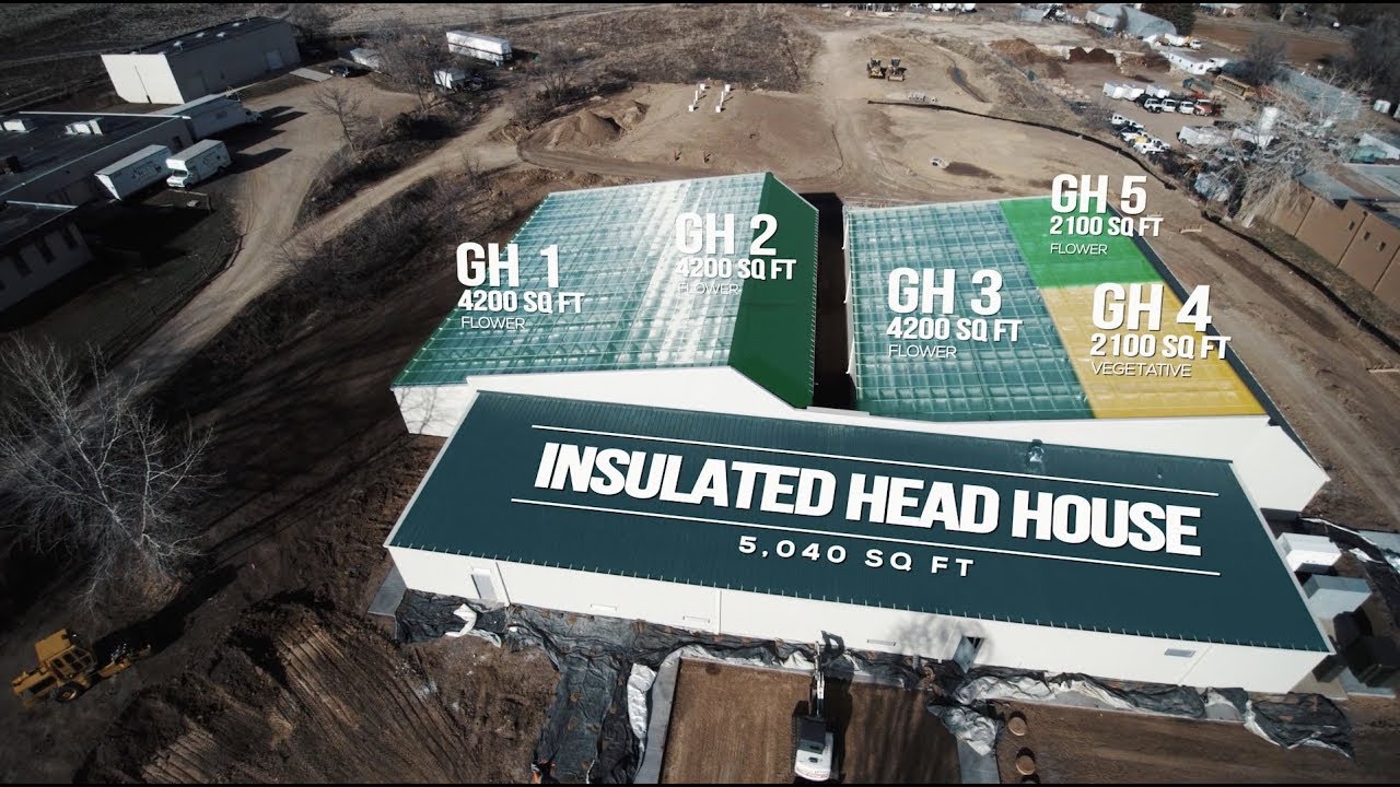 22k Sq. Ft. Sealed Cannabis Greenhouse Reveal in Boulder, Colorado!
