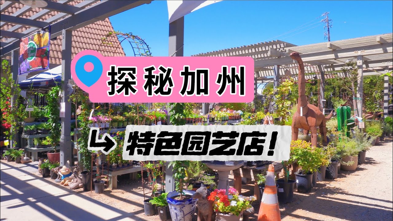 美国加州综合园艺店 开业70余年exploring a garden center in Solvang, California