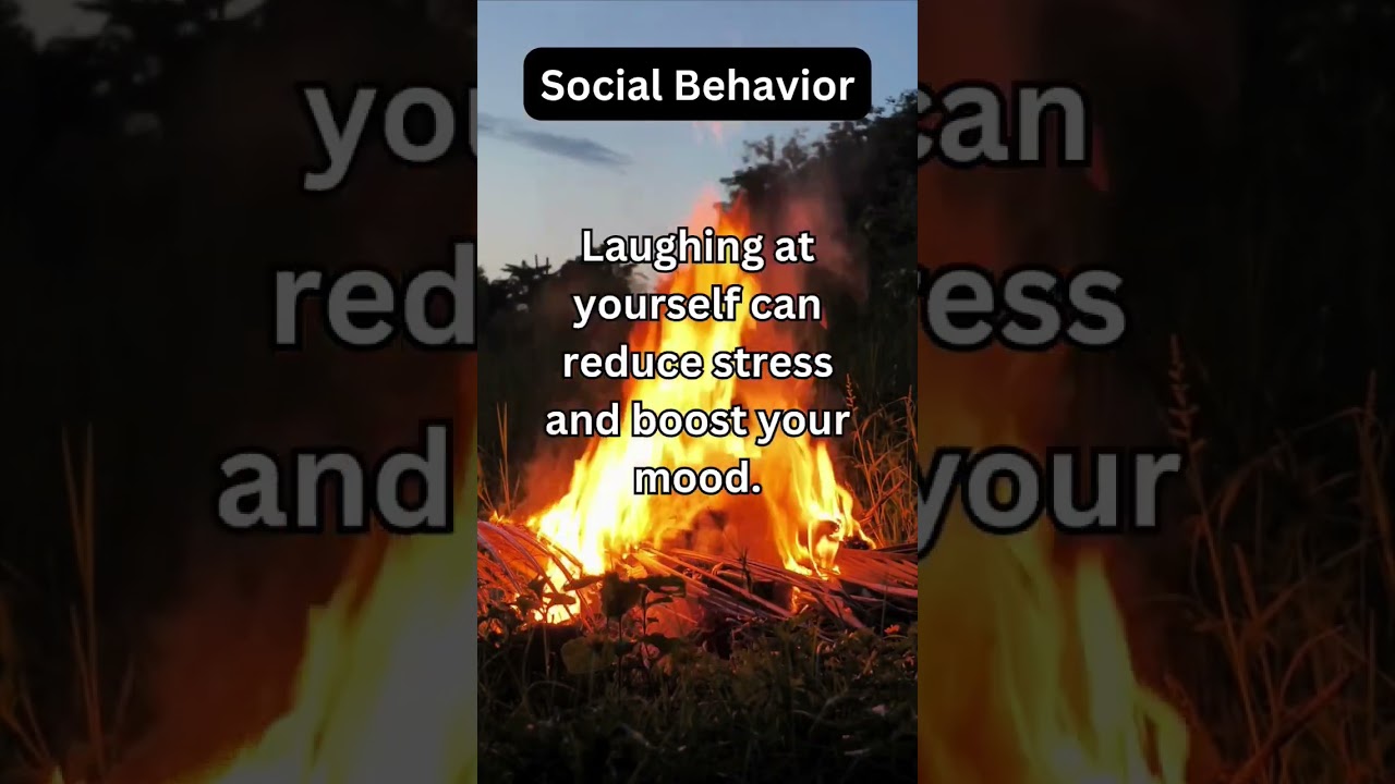 SOCIAL BEHAVIOR FACTS ❤️&zwj;🔥 #socialbehavior #psychologyfacts #dailymotivation #quotes
