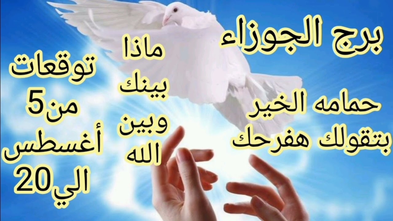 برج الجوزاء توقعات من 5 أغسطس الي 20//حمامه الخير بتقولك هفرحك//انت ملك من ملوك المال والثراء 
