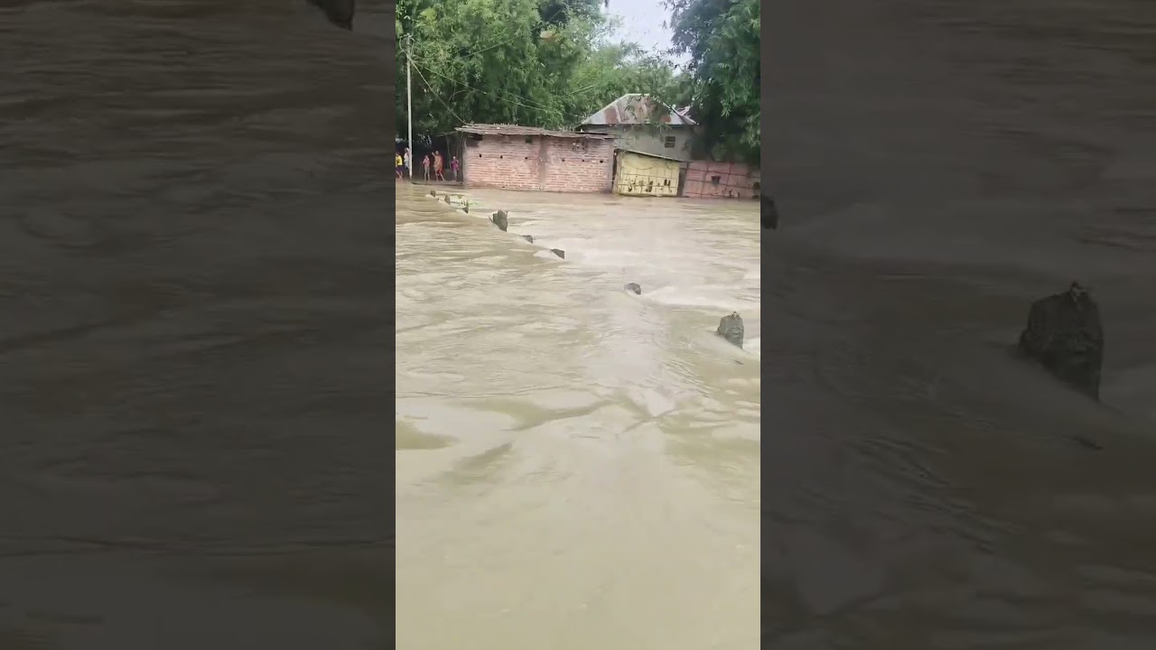 Bihar Flood 2024: Pura Bridge Hi Doob Gaya: #Bihar #Flood #2024