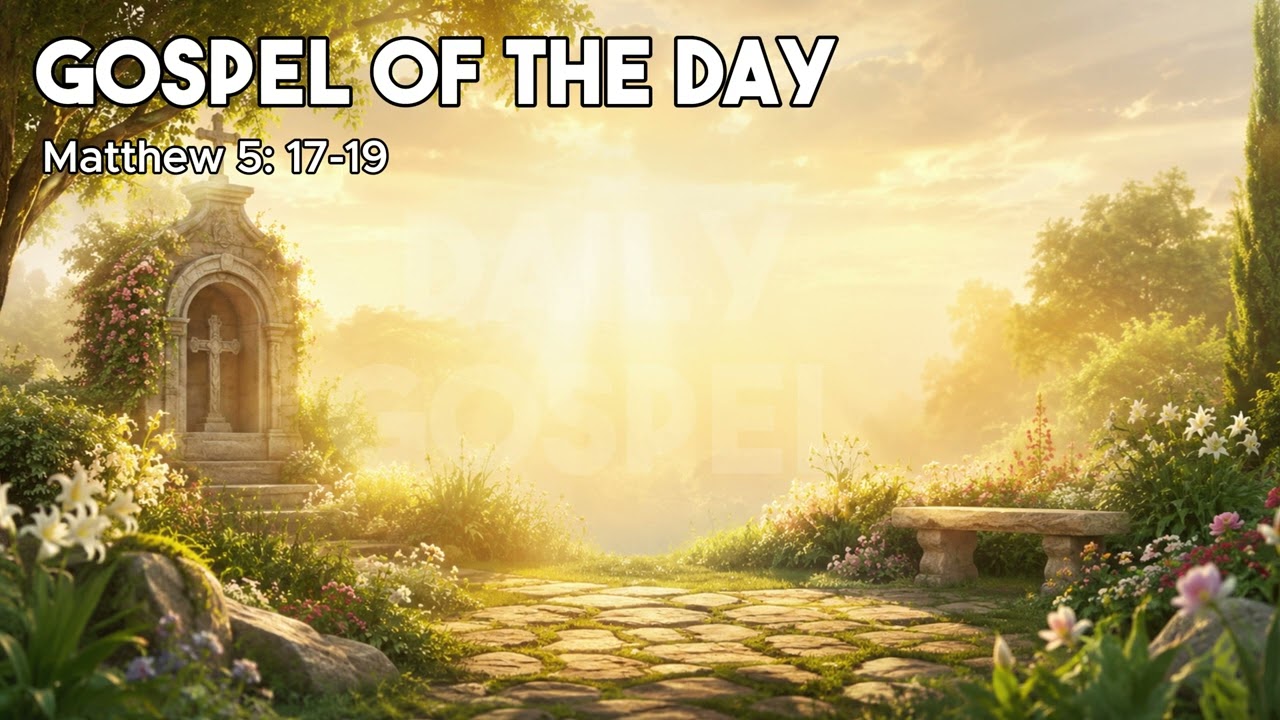 Daily Gospel Reflection | June 10 2026 | What Jesus Is Telling You Today
