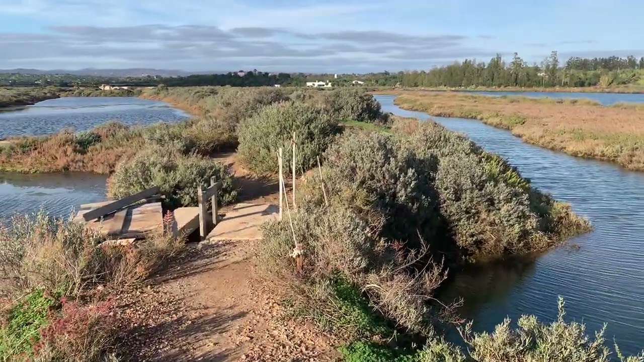 Salinas
