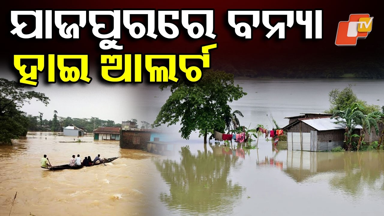 ଯାଜପୁରରେ ବନ୍ୟା ହାଇଆଲର୍ଟ ।Jajpur on High Flood Alert | Rivers Swell Amid Heavy Rain #otvdigital