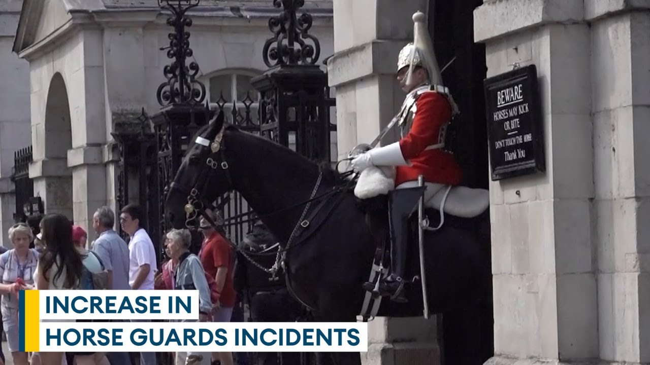 Exclusive: MOD aware of increase in videos of incidents filmed at Horse Guards