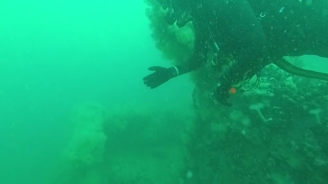 Buceo #22 en el Albatros de Pto. Madryn el 20221013 (4)