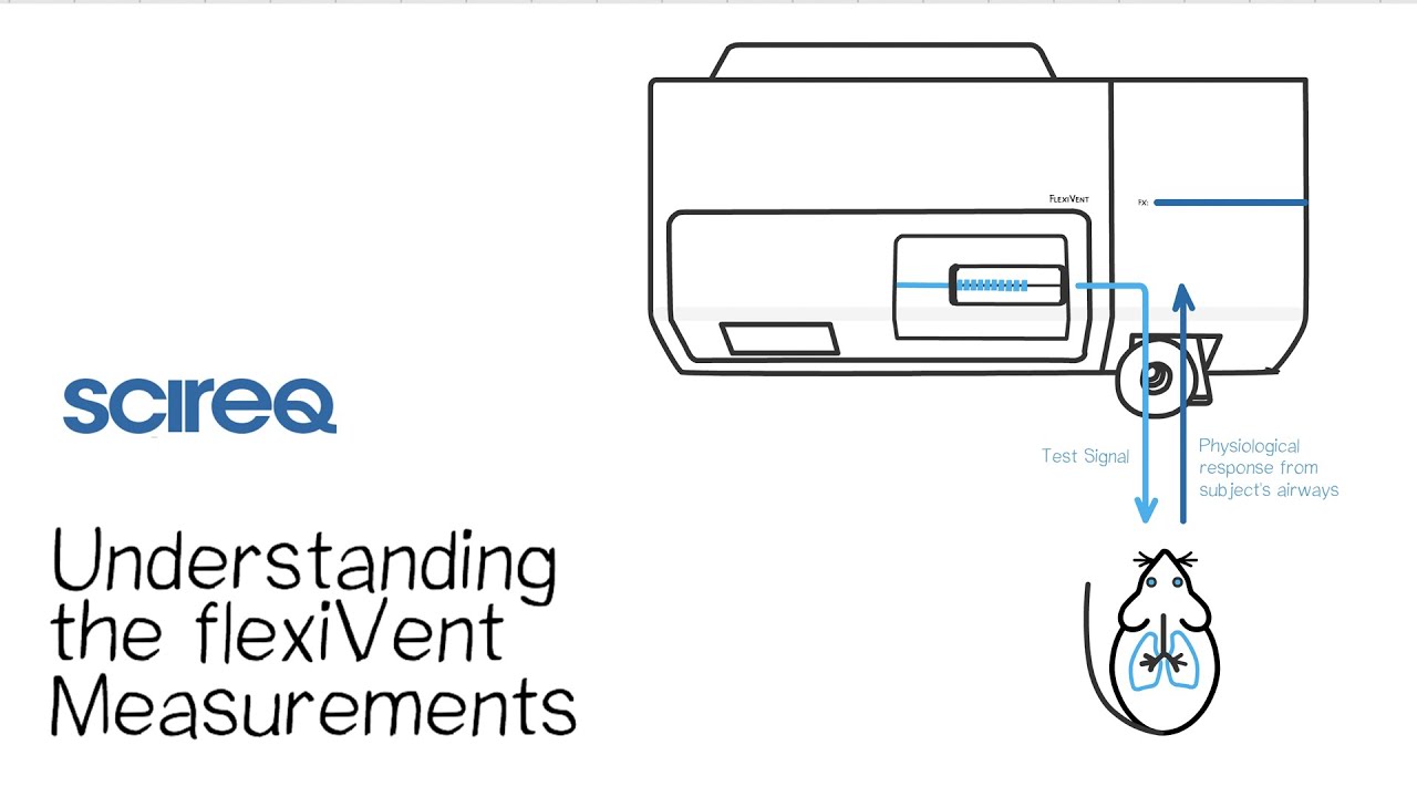 Understanding the flexiVent Measurements