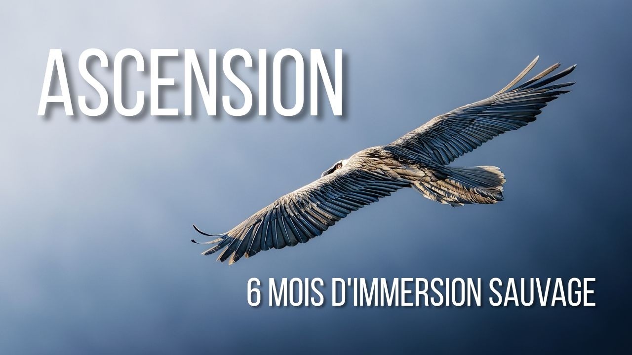 Ascension : 6 mois d'immersion sauvage