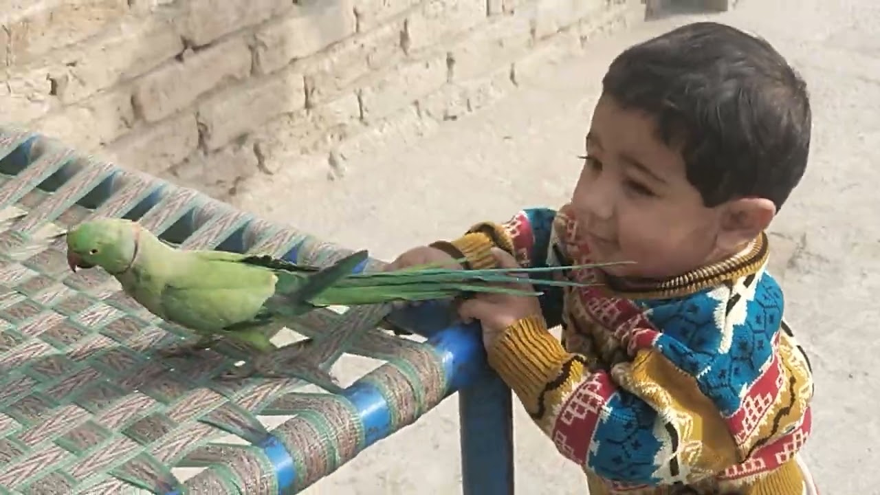 🦜bachon ki duniya🦜😘