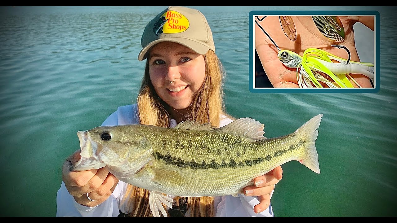 Non-Stop Action: Exciting Spinnerbait Fishing!! (Shasta Lake)