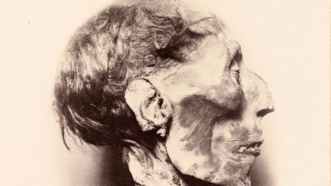 The Forgotten Photos of Egypt from 1891 Surprised Everyone